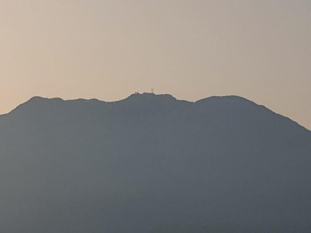 Colle Del Mirto Villa Castelnuovo Cilento ภายนอก รูปภาพ