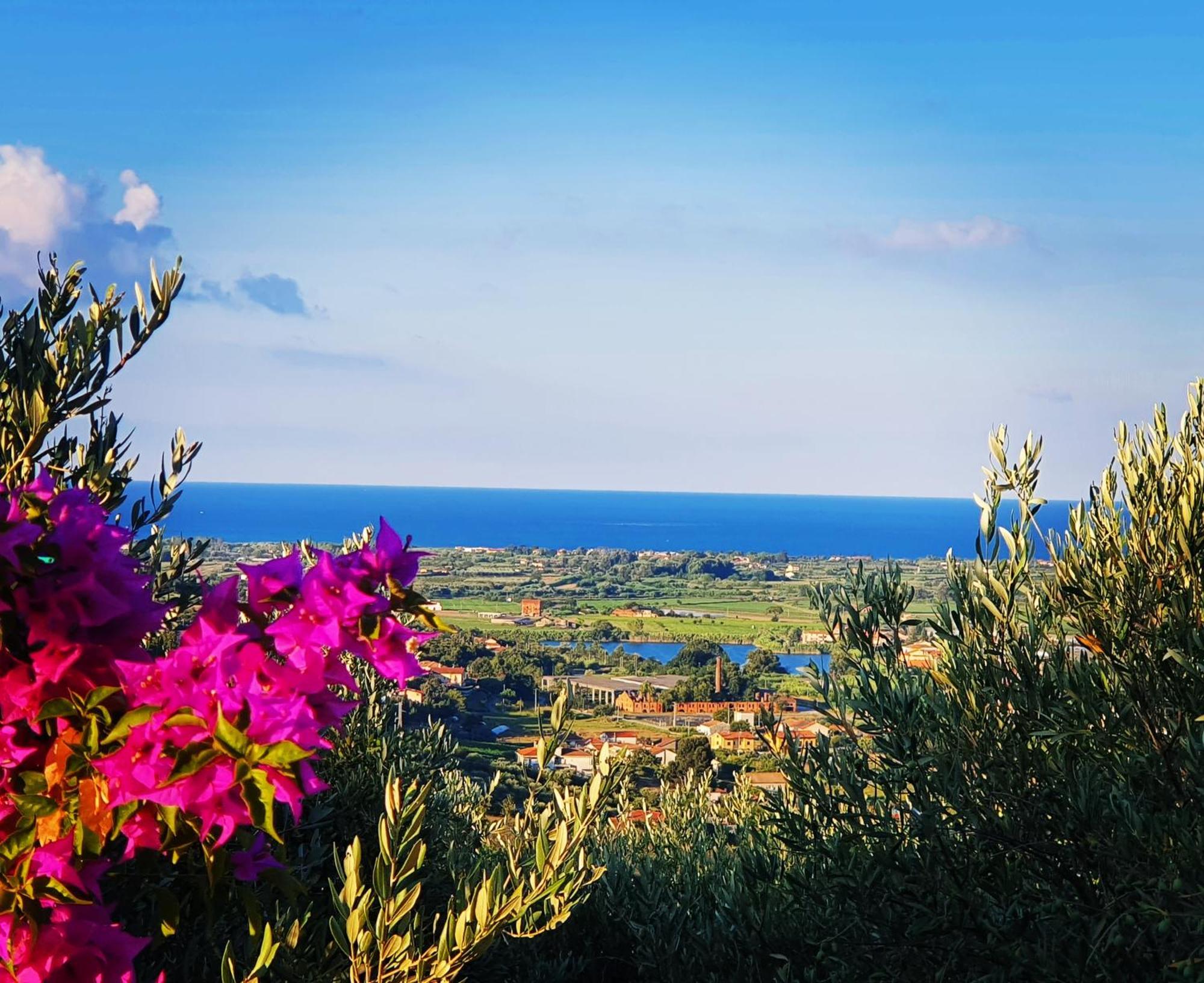 Colle Del Mirto Villa Castelnuovo Cilento ภายนอก รูปภาพ